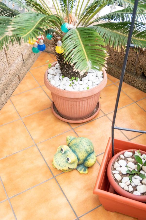 San Juan de la Rambla Green Sky מראה חיצוני תמונה